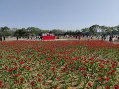 -北陵公园