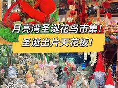 -瑞虹新天地月亮湾