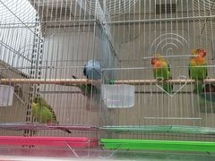 -山东嘉汇文化用品有限公司张店凤凰国际分公司(新村西路店)