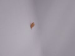 -金宝贝早教(富力广场中心)