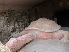 -上海佘山国家森林公园天马山园