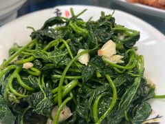 -洞背山庄(洞背院区式管理小区店)