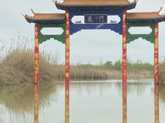 -泗洪洪泽湖湿地景区