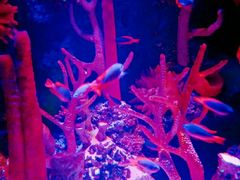 -沈阳海洋探索中心