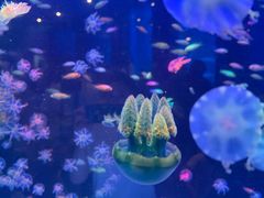 -海合安青岛极地海洋公园