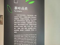 -中国茶叶博物馆(双峰馆区)