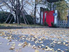 -降龙爪爪(建设路2店)