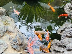 -白天鹅宾馆·流浮阁咖啡厅