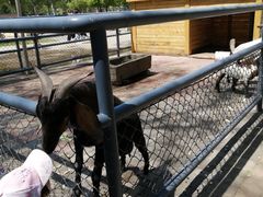 -长白岛森林公园