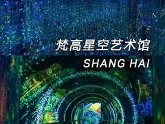-上海梵高星空艺术馆(南京路旗舰店)