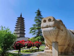 -正定古城-开元寺