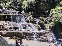 -鼎湖山风景区