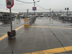 -胜华驾校·小猫学车(银都店)