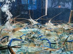 -1718海鲜姿造(苏宁宴请臻选店)