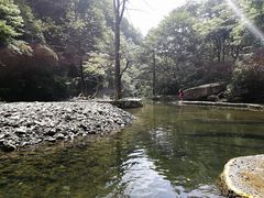 -黎坪国家森林公园