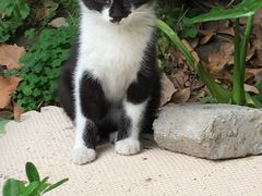 -全家便利店(车站南路店)