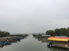 -盐洲岛