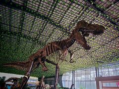 -诸城市恐龙博物馆