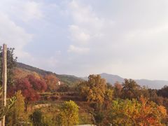 -塔川景区