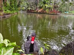 -海南热带野生动植物园