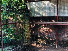 -农家小院土菜馆(斩坑桥店)