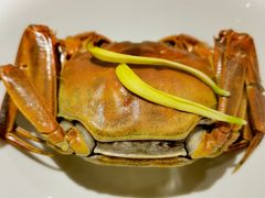 大闸蟹-蟹榭(静安寺晶品商场店)