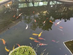 -水云居