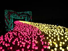 -长春公园(普阳街道)