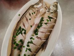 -古尚锦酒楼·水上餐厅