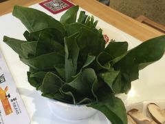 -掂档潮汕牛肉火锅(沈阳万象城店)
