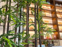 -谷隆画舍·国画书法素描彩铅水彩