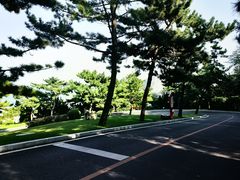 -棒棰岛宾馆景区
