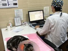 -北京观赏动物医院·24小时大型综合·猫专科·异宠专科