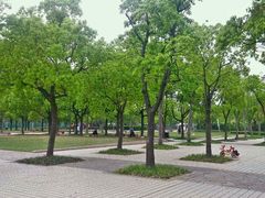 -新江湾城公园