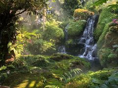 -Chom Cafe and Restaurant