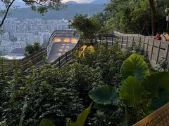 -福道