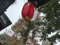 -袁记花椒鸭
