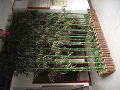 DSCF8004-花筑·扬州个园客栈(瘦西湖东关街店)