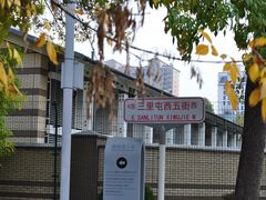 -三里屯东五街银杏大道