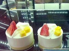 -蒲公英(五里店)