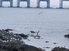 -黑石礁公园