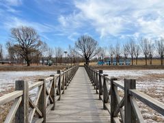 -野鸭湖国家湿地公园