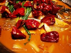 段氏绝味鱼头-柿合缘新京菜(国金中心商场店)
