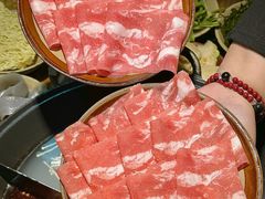 -阳阳老火锅(小南门店)