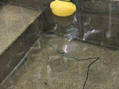 -北京益泉花园酒店