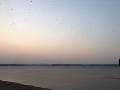 -丁香湖公园