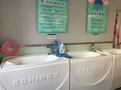 -亲亲袋鼠托育早教·思维专注力·棕熊英语(鼓楼恒力城店)