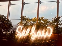 -Seesaw Coffee(朝阳大悦城店)