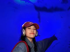 -南戴河国际娱乐中心