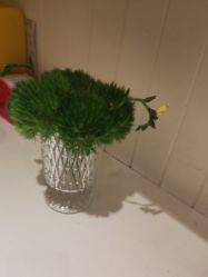 -北京俪婴妇产医院(朝阳大悦城店)